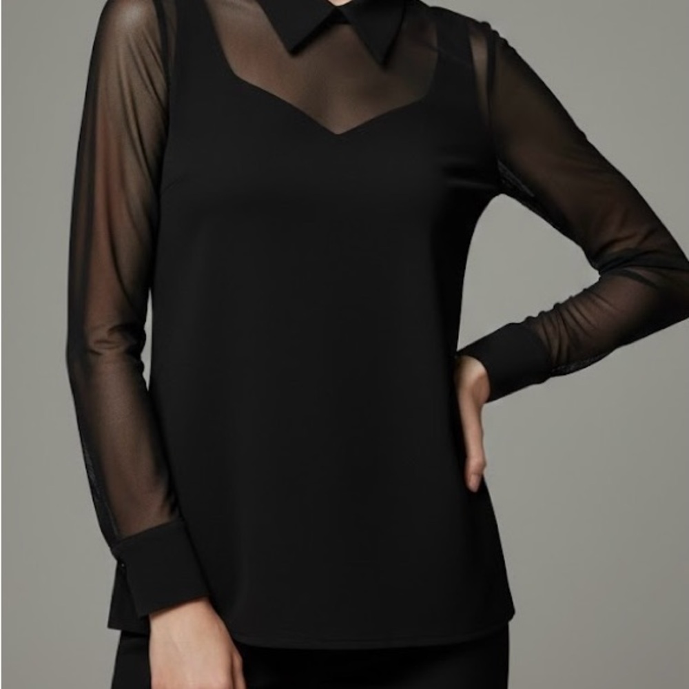 Elegant Sheer Sleeve Black Blouse